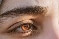 Transformasi Kebiasaan Sehat Untuk Mendukung Fungsi Penglihatan Optimal